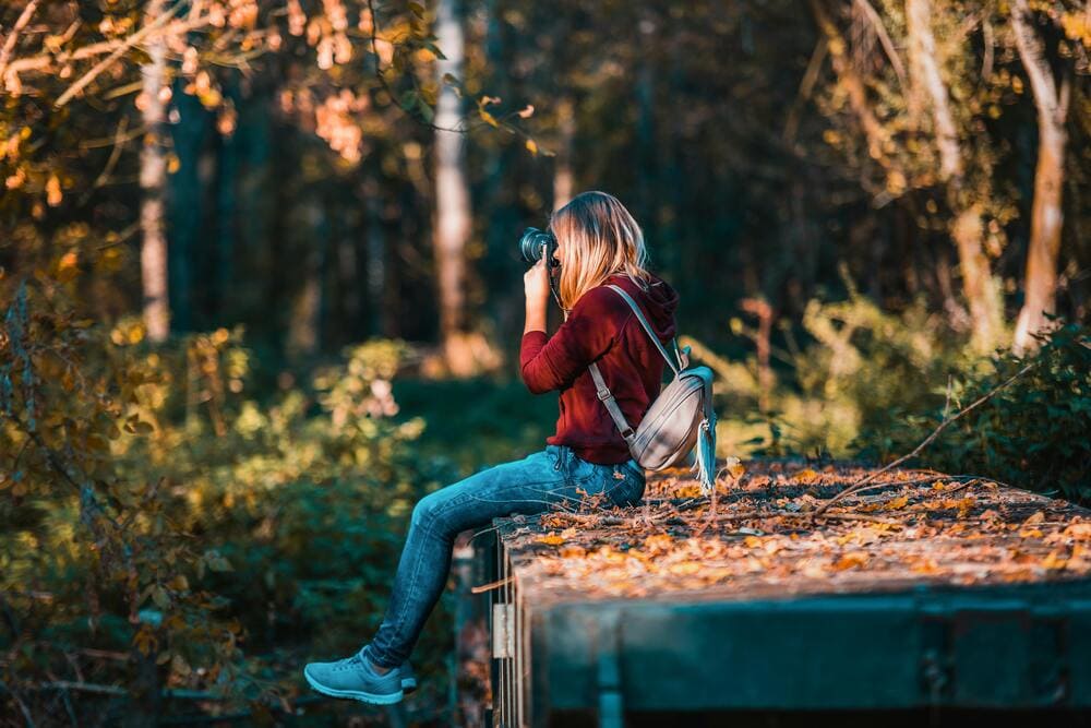 Secretele Fotografiei de Natură: Cum Să Surprinzi Frumusețea Sălbatică